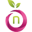 Favicon von Namefruits.